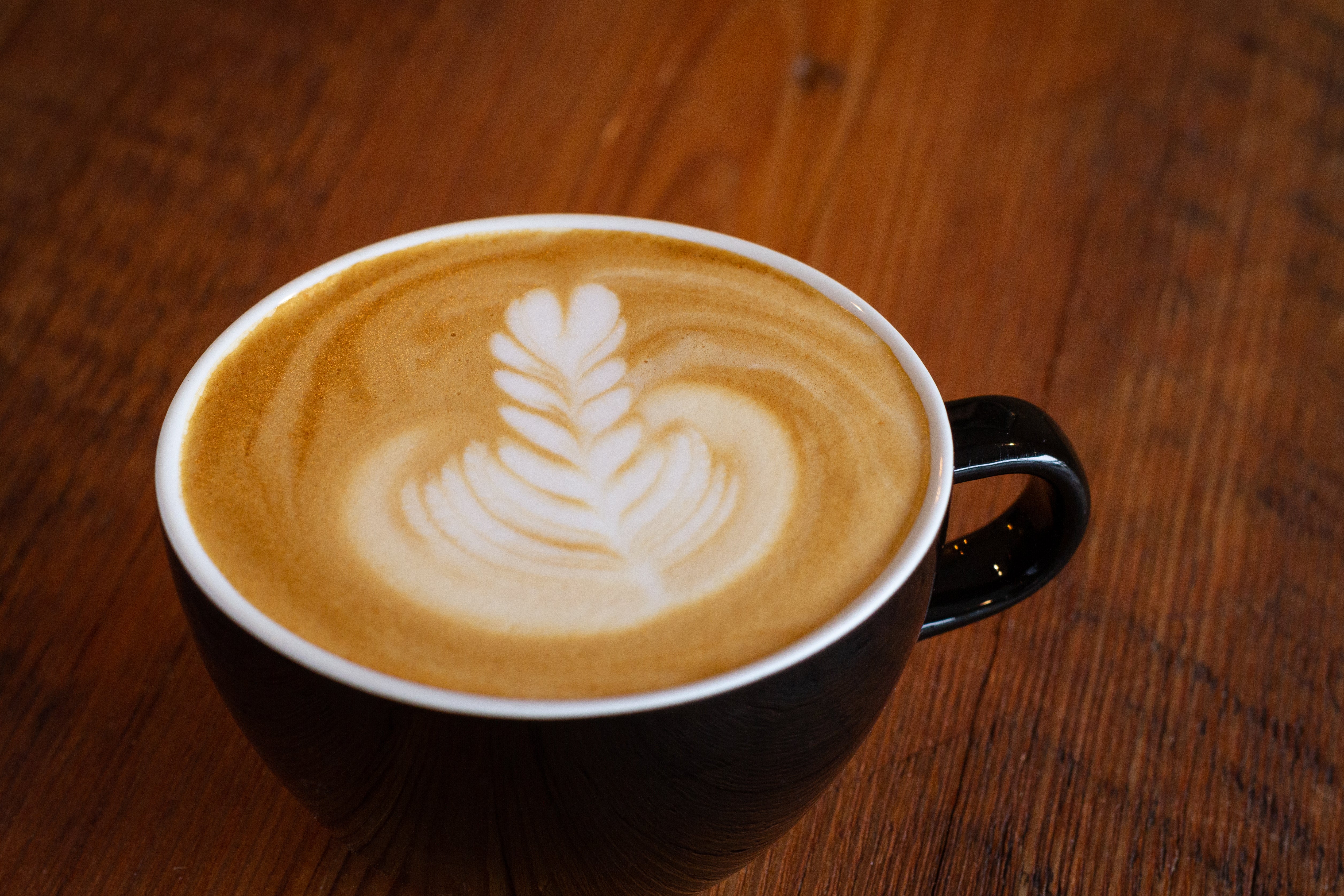 Latte | Wisteria Coffee Co.